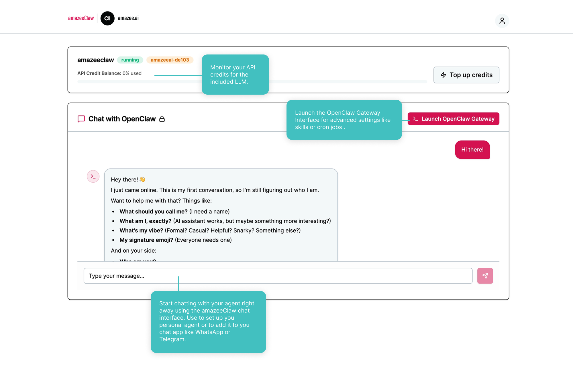 Chat & Dashboard